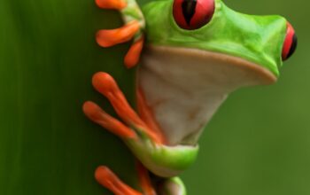 Children exploring a tropical rainforest canopy with colorful plants and animals