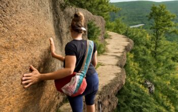 View of a hiking trail in Acadia National Park