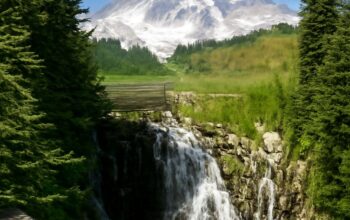 Mt Rainier Hiking Trails