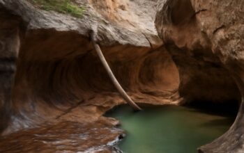Scenic view of a hiking trail in Zion National Park